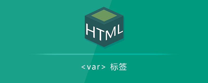 变量标签<var>