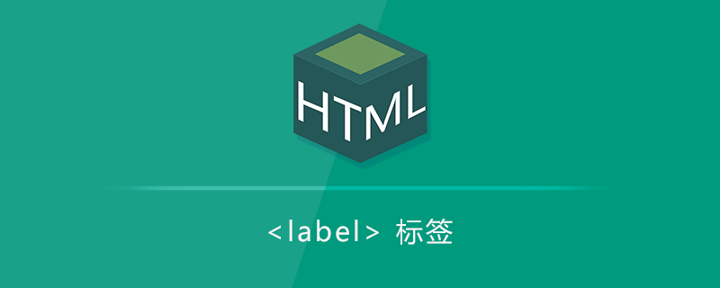 标记标签<label>